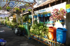 P1000080-Copy
