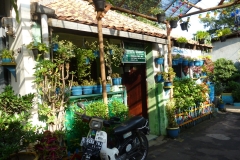 P1000081-Copy